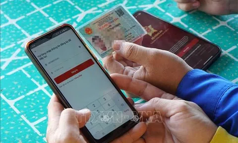 Tước 499 giấy phép lái xe trên ứng dụng VneID