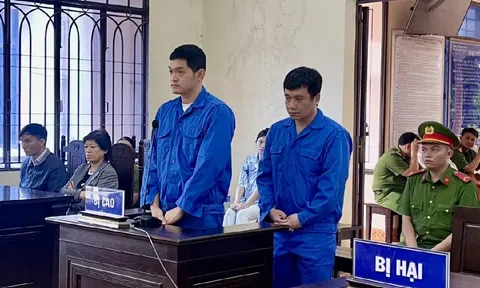 Đồng Nai: Phó Giám đốc và tài xế Công ty Thành Bưởi lĩnh hơn 14 năm tù