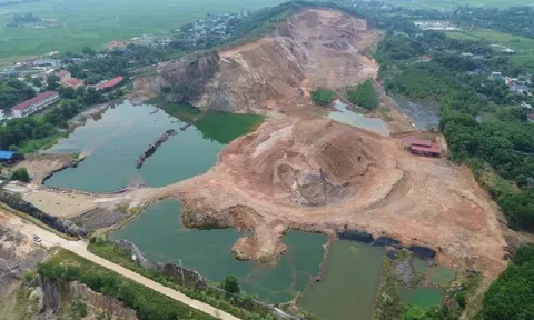 Thanh Hóa: Đình chỉ khai thác, xử phạt Công ty Việt Lào gần 200 triệu đồng