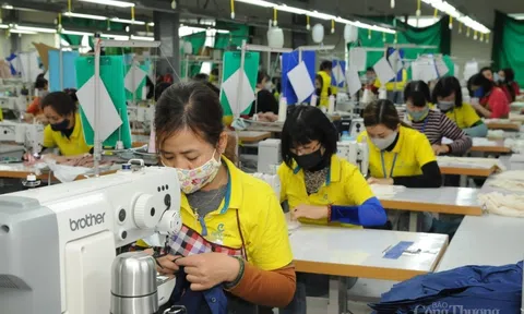 Mở rộng thị phần hàng dệt may tại EU, chuyên gia khuyến cáo gì?