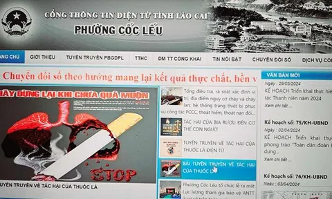 Xử phạt Phó Chủ tịch phường