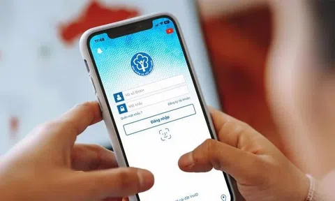 Bảo hiểm xã hội Việt Nam: Phát hiện 68 website giả mạo thương hiệu để lừa đảo