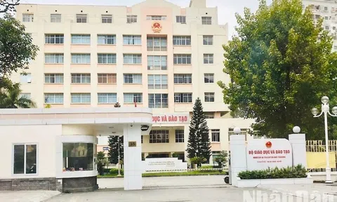 Bộ Giáo dục và Đào tạo thông tin về việc rà soát văn bằng của ông Vương Tấn Việt