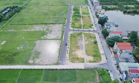 Tìm hiểu nguyên nhân đất đấu giá Thanh Oai, Hà Nội hơn 100 triệu đồng/m2