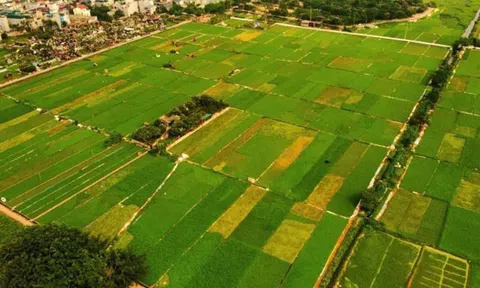 Luật đất đai mới nhất 2024: Không còn cấp đất cho hộ gia đình