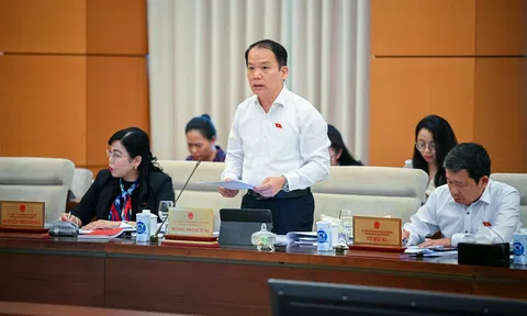 Sắp xếp, tổ chức lại các đơn vị sự nghiệp công lập chủ yếu còn mang tính cơ học