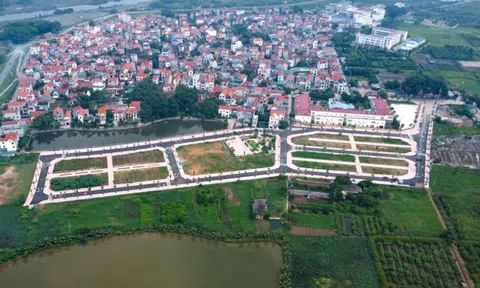 Đấu giá đất Hoài Đức: Cao gấp 18 lần giá khởi điểm, "bỏ cọc chạy lấy người" có thể bị xử lý như thế nào?