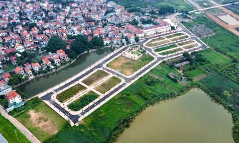 Đất đấu giá vùng ven Hà Nội giá cao bất thường: Thủ tướng chỉ đạo 'nóng'