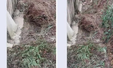 Vụ bé gái 13 tuổi nghi dùng búa đánh ông nội tử vong: Góc nhìn pháp lý khi nghi phạm là trẻ vị thành niên