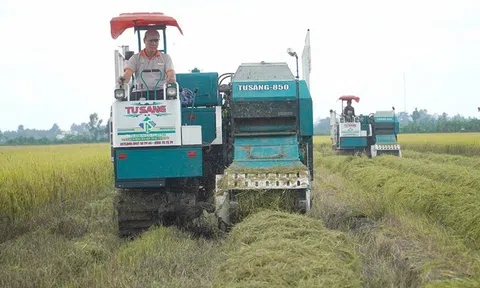 Nhiều thách thức đặt ra với doanh nghiệp khi tham gia thị trường carbon
