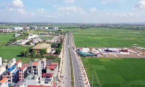 Hà Nội: Tạm dừng đấu giá 114 thửa đất tại huyện Thanh Oai