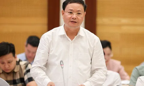 Bộ Tài nguyên và Môi trường: 'Trúng đấu giá đất tăng cao so với giá khởi điểm là đúng thực tế'