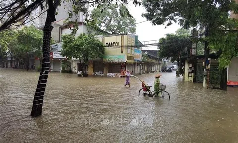 Hà Nội: Nhiều đoạn đê xung yếu được đắp cao ngăn lũ dữ