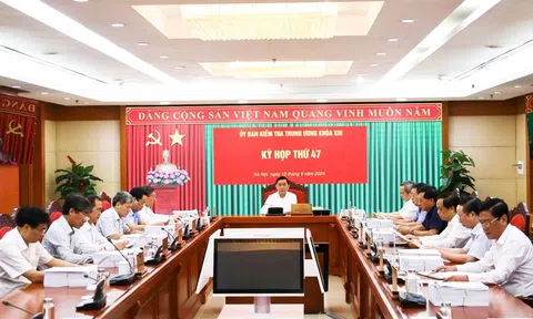 Đại án Tập đoàn Thuận An: Kỷ luật Chủ tịch tỉnh, 2 Giám đốc Sở,...