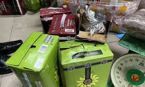 Hải quan phối hợp bắt giữ 1,55 tấn ma túy