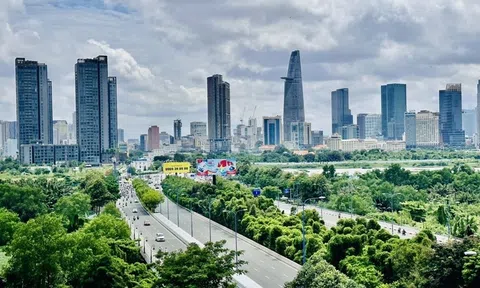 Điểm mới quan trọng của Luật Đất đai năm 2024: Quy định mới về đấu giá quyền sử dụng đất