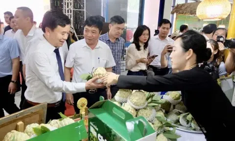 Xúc tiến thương mại tạo đầu ra bền vững cho nông sản miền núi