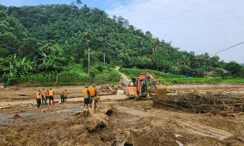 Bộ Giáo dục và Đào tạo đề nghị miễn giảm học phí, hỗ trợ sinh viên bị thiệt hại do bão số 3