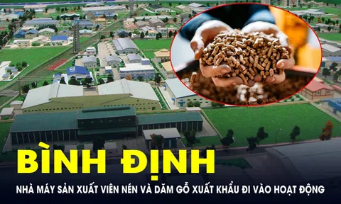 2 nhà máy sản xuất viên nén và dăm gỗ vừa đi vào hoạt động tại Bình Định có quy mô ra sao?