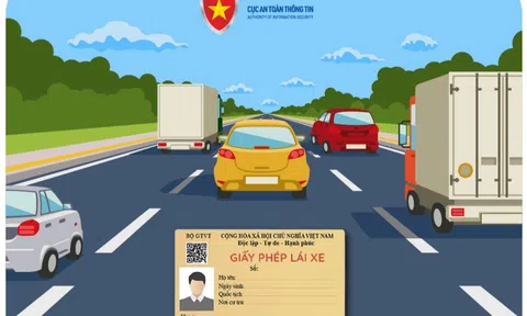 Cảnh báo lừa đảo cấp, đổi giấy phép lái xe online
