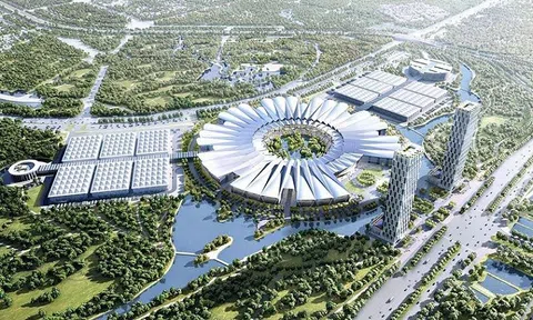 CEO mới của Trung tâm Hội chợ Triển lãm Việt Nam là ai?
