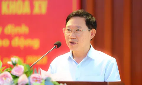 Thi hành kỷ luật đối với Chủ tịch Bắc Giang Lê Ánh Dương