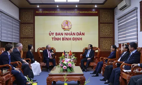 Bình Định làm việc với tập đoàn Đức về dự án điện gió ngoài khơi 4,6 tỷ USD