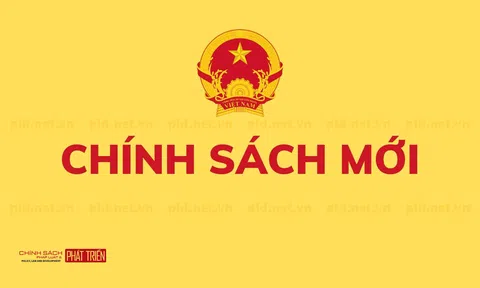 Chính sách mới có hiệu lực từ tháng 11/2024