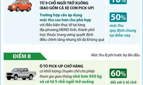 Mức thu lệ phí trước bạ đối với ô tô sản xuất trong nước từ 01/12/2024