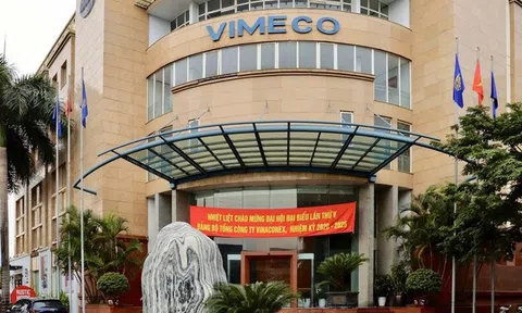 Vinaconex muốn bán hơn 46% vốn tại Vimeco