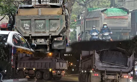 Tái diễn hoạt động kinh doanh vận tải chở hàng quá tải