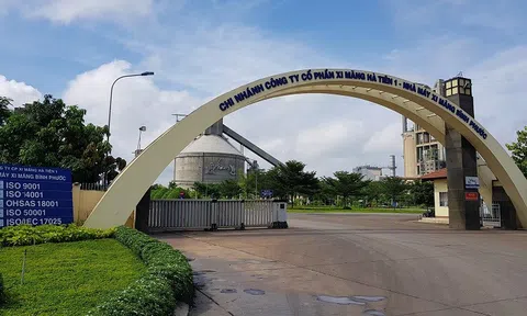 Hàng tỷ đồng lợi nhuận của Công ty xi măng lớn nhất miền Nam bị giảm sau kiểm toán