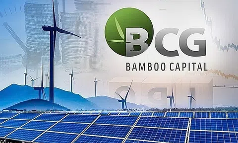 Thêm 3 lô trái phiếu nhóm Bamboo Capital bị tạm ngưng giao dịch