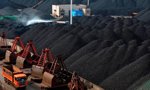Doanh nghiệp chi gần 2 tỷ USD để nhập khẩu một mặt hàng từ Indonesia, Australia và Nga
