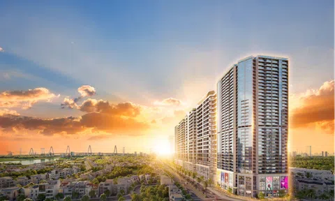 Lợi nhuận Sunshine Group đạt 41,9 tỷ trong quý I/2025
