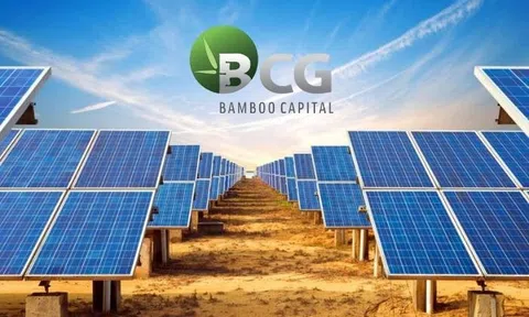 Bamboo Capital lý giải chậm báo cáo tài chính