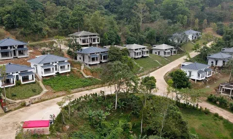 Hòa Bình cho phép chuyển đổi hơn 3,5ha đất rừng phát triển khu biệt thự nhà vườn, du lịch sinh thái gần 800 tỷ đồng