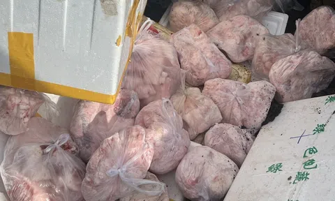 400kg thịt heo không rõ nguồn gốc ở Đắk Lắk bị tiêu hủy