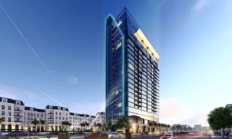 Văn Phú Invest thay Tổng giám đốc