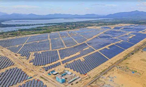 Bamboo Capital bổ nhiệm lãnh đạo sinh năm 1995 vào vị trí quản trị cấp cao