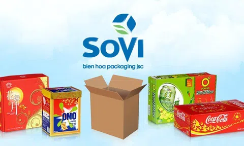 Bao bì Biên Hòa bị phạt 620 triệu đồng, buộc phải di dời