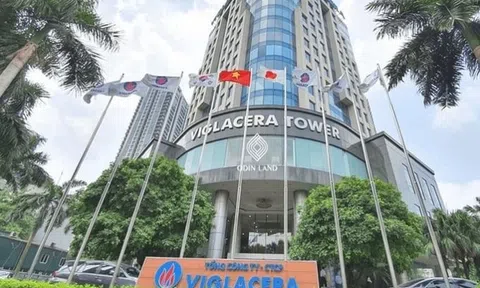 Động thái mới hé lộ tham vọng dài hạn của Viglacera