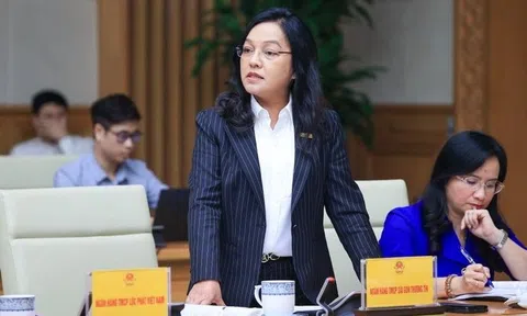 Sacombank chia tay nữ lãnh đạo từng đưa ngân hàng vượt khủng hoảng