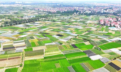 Hà Nội giao hơn 500m2 đất tại Mê Linh cho dự án Khu nhà ở Tiến Phong