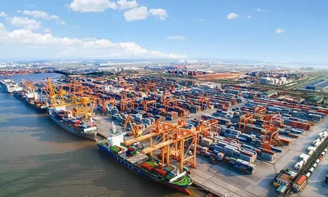 Doanh nghiệp Việt Nam chủ động ứng phó với chính sách thuế quan từ Mỹ