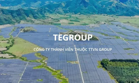 Cheo giấu giao dịch, công bố sai lệch dự án một doanh nghiệp bị phạt 240 triệu đồng