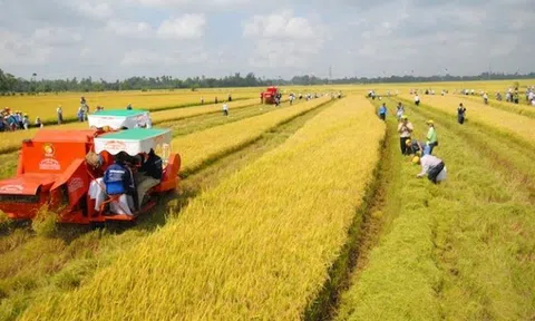 Giải pháp phù hợp và cần thiết
