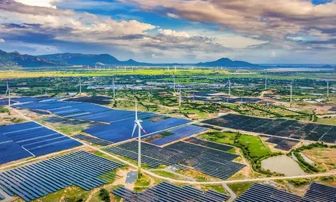 Chính phủ Anh cam kết “rót” 1 tỷ USD hỗ trợ Việt Nam đạt mục tiêu Net Zero
