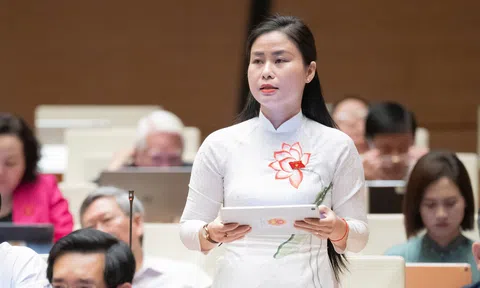 Đại biểu Quốc hội kiến nghị nhiều giải pháp tổng thể, đồng bộ phát triển các vùng kinh tế