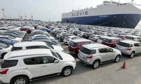 Ô tô nhập khẩu vào Việt Nam 2025 xác lập kỷ lục mới